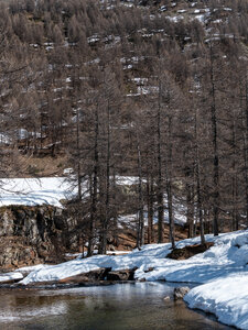 Chardonnet-Ricou, Névache-22032023-_1058184