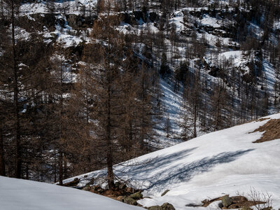 Chardonnet-Ricou, Névache-22032023-_1058199