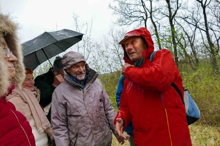 2023 03 18-C-C_Printanières-Michel et Christiane par Mireille A., 2019_printanière AmaninsP3320046 -