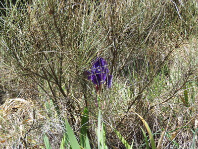 Boucle Tallard Venterol, IMG_9668