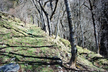 Molines en Champsaur, Le Jas de Jartier 13 avril 2023, DSC_0045