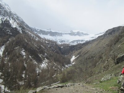 Bouquetins au Tourond, IMG_4193