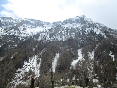 Bouquetins au Tourond, IMG_4195