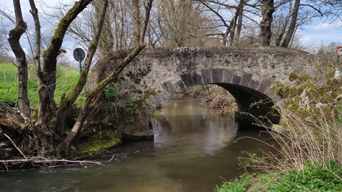Saint-Bonnet-près-Orcival, IMG_20230421_152557