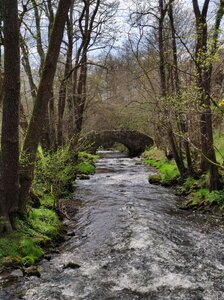 Saint-Bonnet-près-Orcival, IMG_20230421_154905