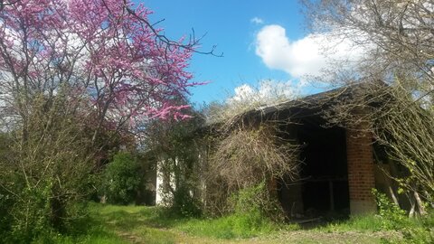 Secret place, 20230415_152237