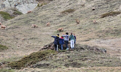 Refuge du Tourrond avec vue sur les bouquetins le 20 avril 2023, DSC_0231
