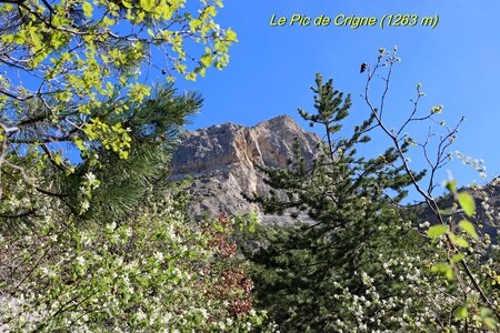 Le Pic de Crigne, Pic de Crigne 002
