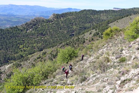 Le Pic de Crigne, Pic de Crigne 016