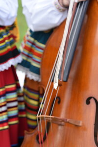 musique , musi  146 