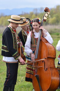 musique , musi  229 