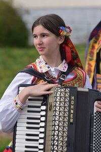 musique , musi  257 