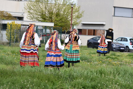 musique , musi  275 