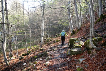 les Gourniers, la boucle de l''Oussella 02052023, DSC_0025