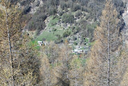 les Gourniers, la boucle de l''Oussella 02052023, DSC_0081  2 