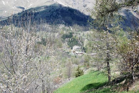 les Gourniers, la boucle de l''Oussella 02052023, DSC_0144
