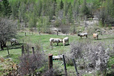 les Gourniers, la boucle de l''Oussella 02052023, DSC_0145