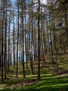 lac de l'Hivernet 4/05/23, sRVB-1068778