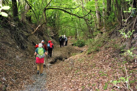 CURBAN-Circuit à la journée le 09 mai 2023, DSC_0204