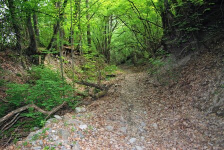CURBAN-Circuit à la journée le 09 mai 2023, DSC_0205