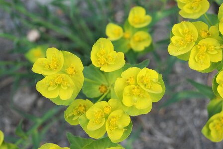 CURBAN-Circuit à la journée le 09 mai 2023, DSC_0212