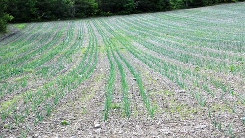 CURBAN-Circuit à la journée le 09 mai 2023, DSC_0214