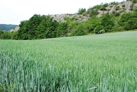 CURBAN-Circuit à la journée le 09 mai 2023, DSC_0215