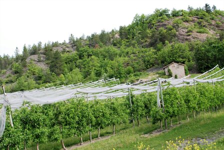 CURBAN-Circuit à la journée le 09 mai 2023, DSC_0230