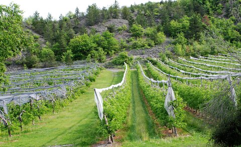 CURBAN-Circuit à la journée le 09 mai 2023, DSC_0233