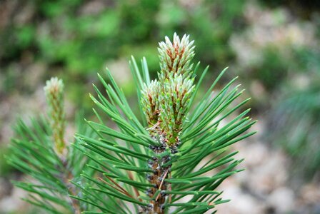 CURBAN-Circuit à la journée le 09 mai 2023, DSC_0242