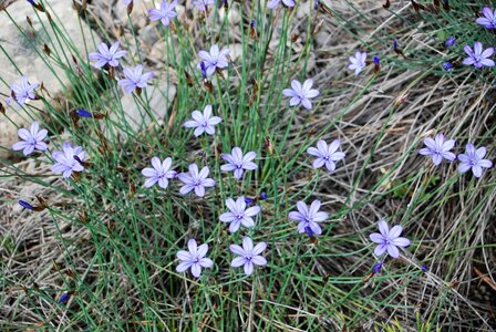 CURBAN-Circuit à la journée le 09 mai 2023, DSC_0243