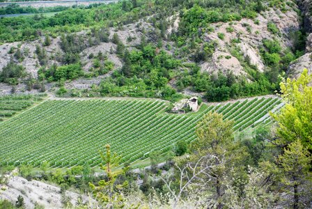 CURBAN-Circuit à la journée le 09 mai 2023, DSC_0254