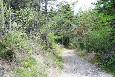CURBAN-Circuit à la journée le 09 mai 2023, DSC_0257