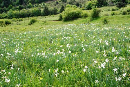 CURBAN-Circuit à la journée le 09 mai 2023, DSC_0274