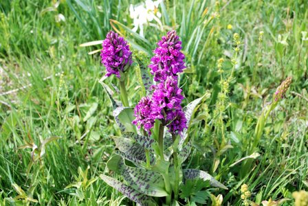 CURBAN-Circuit à la journée le 09 mai 2023, DSC_0278
