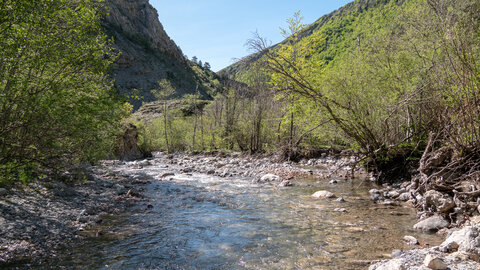 Rabou chapelle de La Crotte 11/03/23, sRVB-1069093