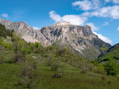 Rabou chapelle de La Crotte 11/03/23, sRVB-1069098