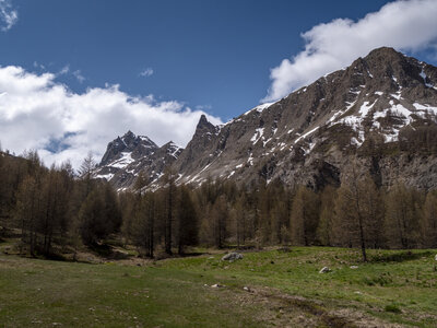 Maljasset bouquetins 16-05-23, sRVB-1069143