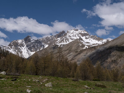 Maljasset bouquetins 16-05-23, sRVB-1069144