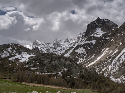 Maljasset bouquetins 16-05-23, sRVB-1069152