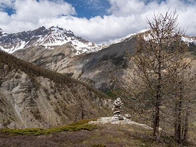Maljasset bouquetins 16-05-23, sRVB-1069158