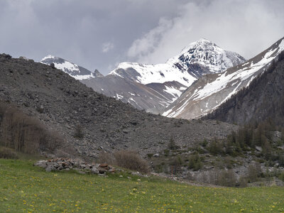 Maljasset bouquetins 16-05-23, sRVB-1069270