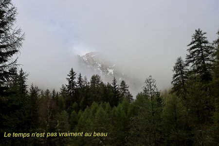 Circuit des Cabanes par le chemin de ceinture, Circuit des Cabanes par le chemin de ceinture 002