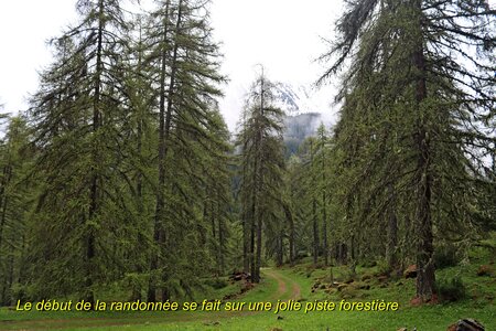 Circuit des Cabanes par le chemin de ceinture, Circuit des Cabanes par le chemin de ceinture 006