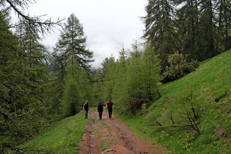 Circuit des Cabanes par le chemin de ceinture, Circuit des Cabanes par le chemin de ceinture 007