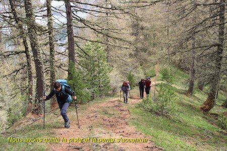 Circuit des Cabanes par le chemin de ceinture, Circuit des Cabanes par le chemin de ceinture 011