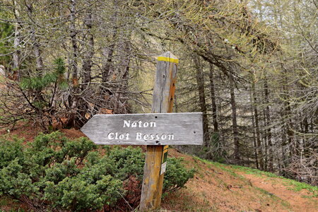 Circuit des Cabanes par le chemin de ceinture, Circuit des Cabanes par le chemin de ceinture 013