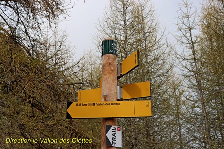 Circuit des Cabanes par le chemin de ceinture, Circuit des Cabanes par le chemin de ceinture 014