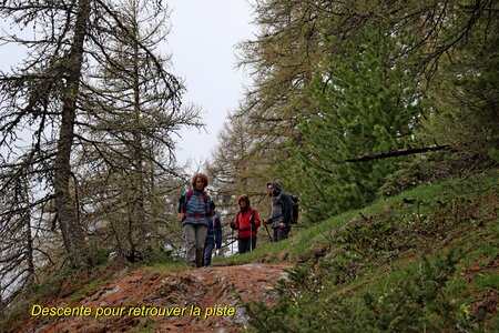 Circuit des Cabanes par le chemin de ceinture, Circuit des Cabanes par le chemin de ceinture 023