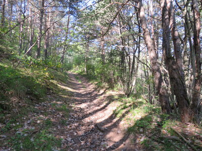 Boucle des Viaux, IMG_9843